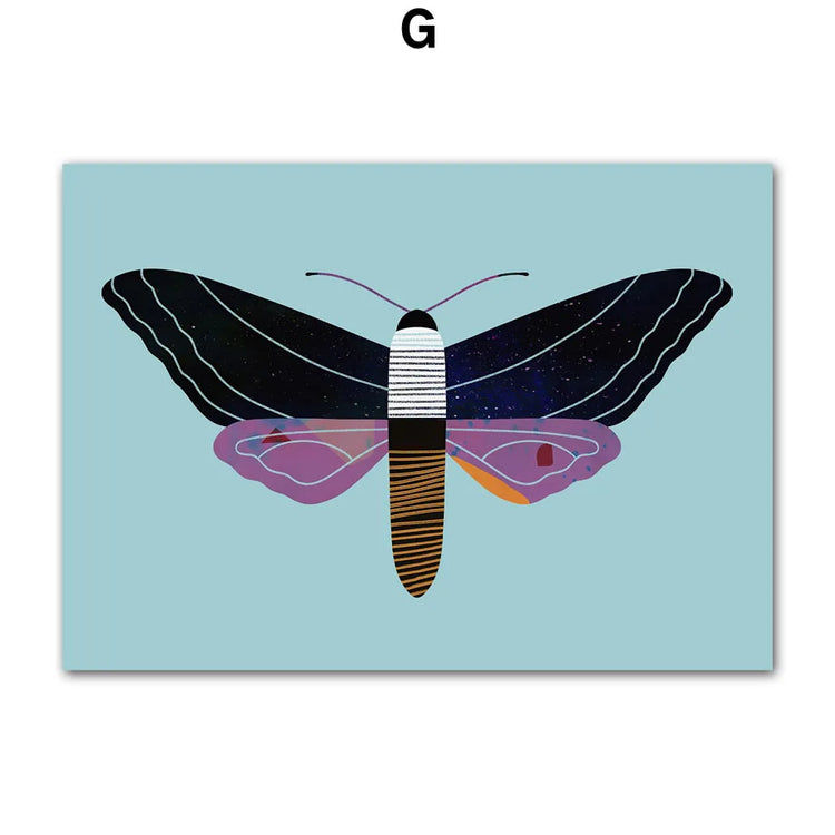 48957401530701|48957401563469|48957401596237