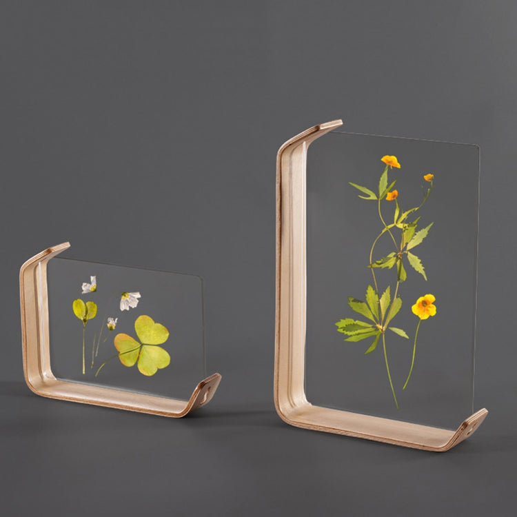 Acrylic Wooden Photo Frame Herbarium Display Frame