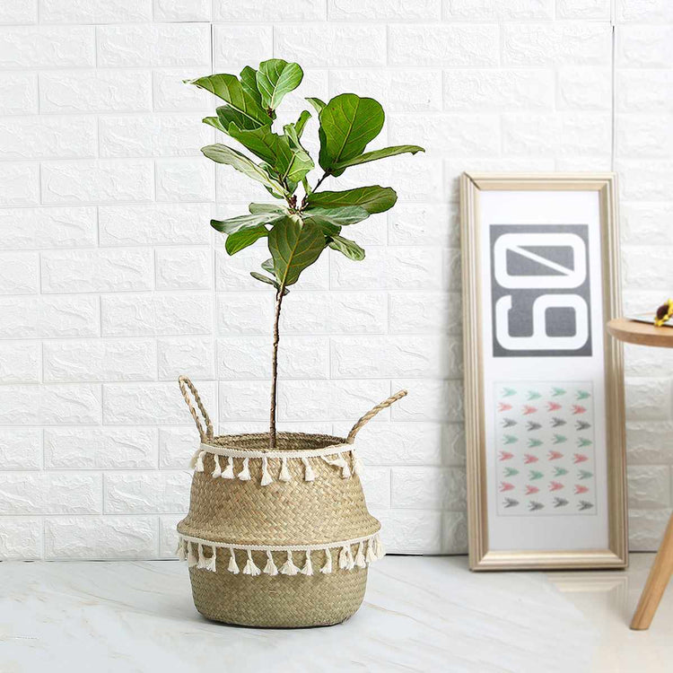 Storage Straw Basket With Tassel - MAHOGANY STREET