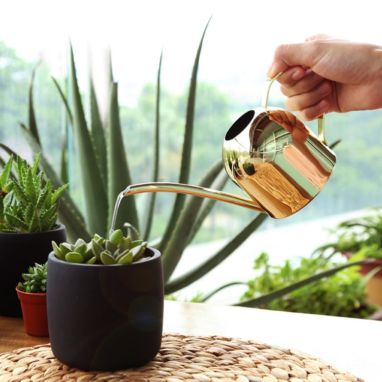 Sleek Design Stainless Steel Watering Cans - MAHOGANY STREET