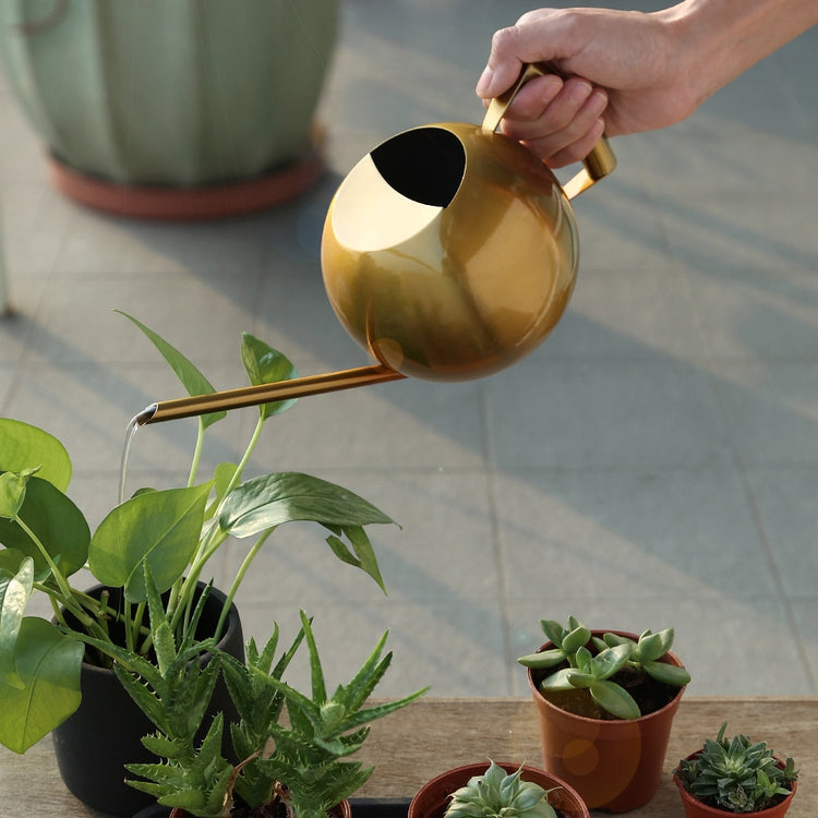 Sleek Design Stainless Steel Watering Cans - MAHOGANY STREET