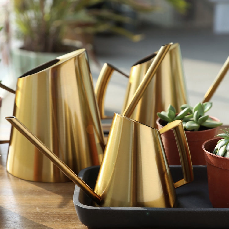 Sleek Design Stainless Steel Watering Cans - MAHOGANY STREET