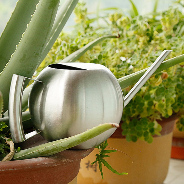 Sleek Design Stainless Steel Watering Cans - MAHOGANY STREET