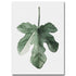 Watercolor Green Plants Canvas Print - MAHOGANY STREET