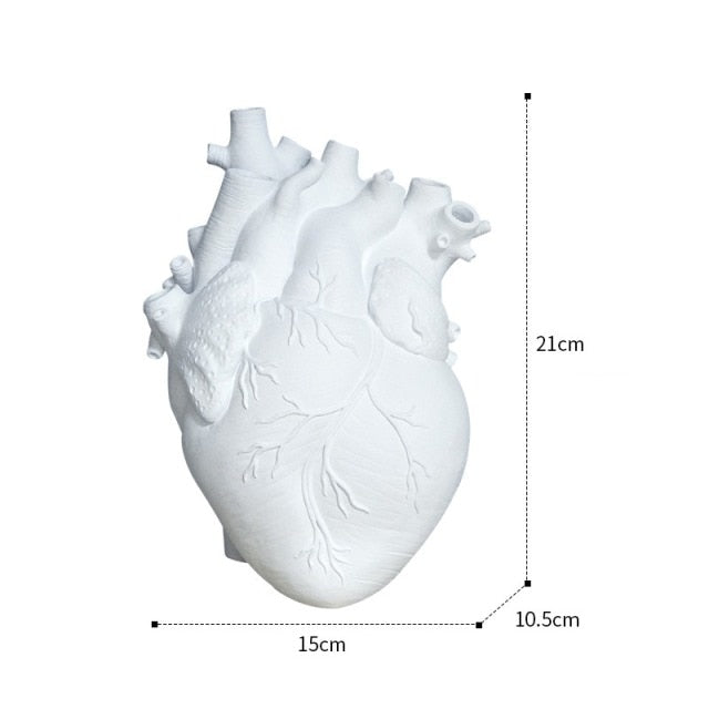 Anatomical Heart Shaped Vase - MAHOGANY STREET