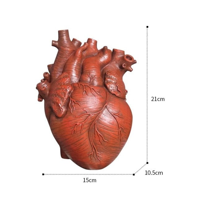 Anatomical Heart Shaped Vase - MAHOGANY STREET